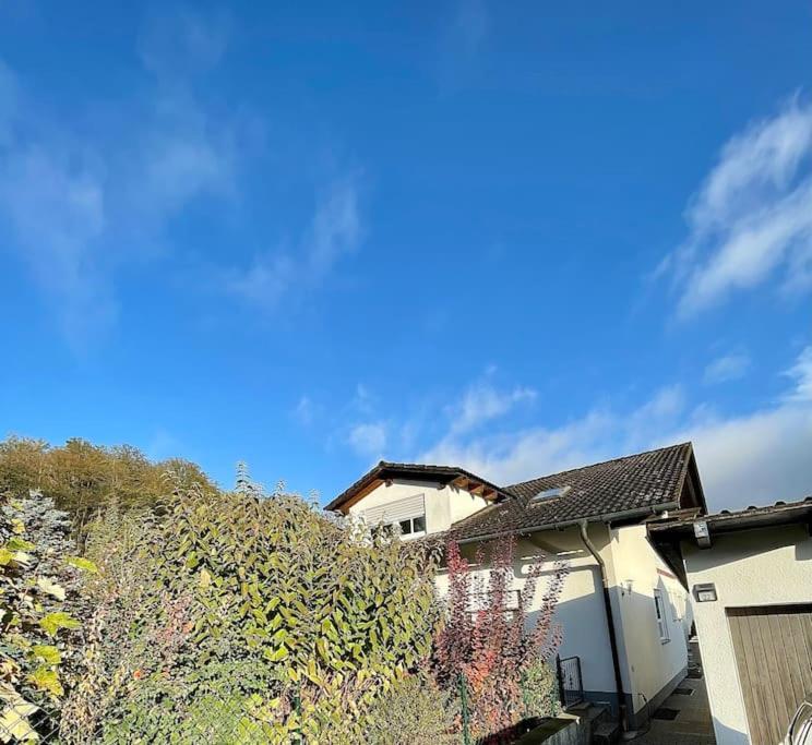 Modernes Apartment Mit Top Ausstattung Und Kamin Im Oberpfaelzer Seenland Nittenau エクステリア 写真